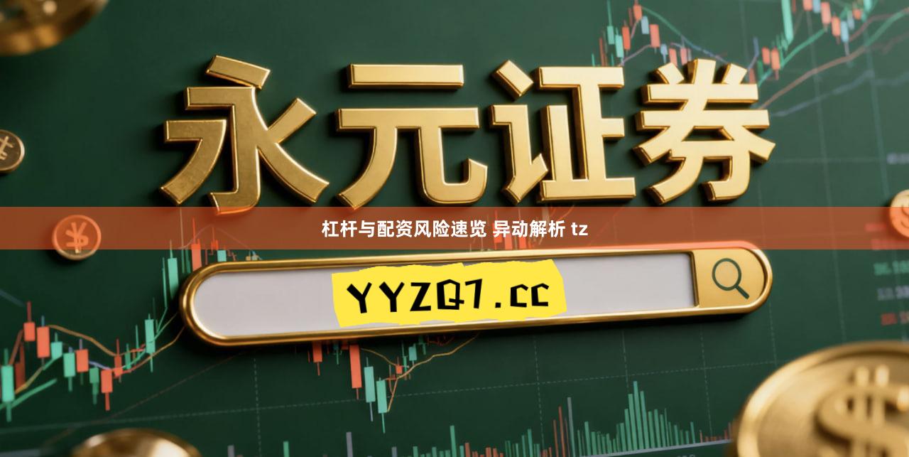 杠杆与配资风险速览 异动解析 tz
